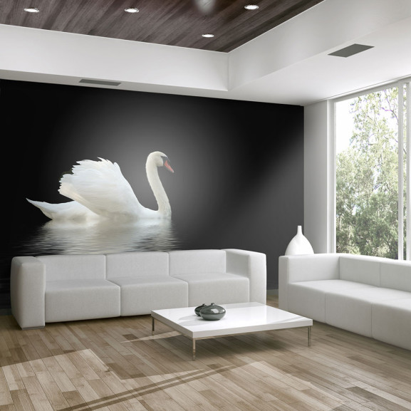 Fototapet Swan (Black And White)