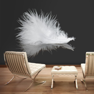 Fototapet White Feather