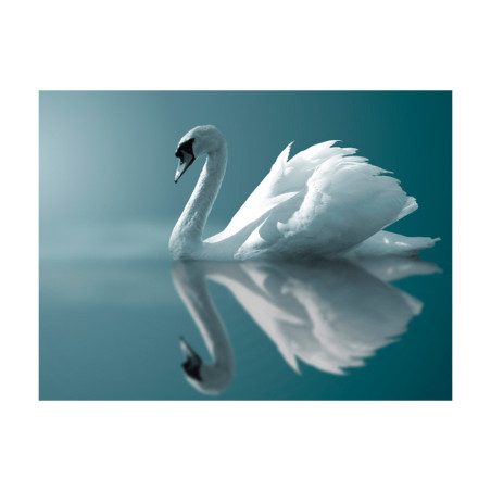 Fototapet White Swan-01