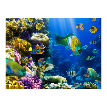 Fototapet Underwater Paradise-01