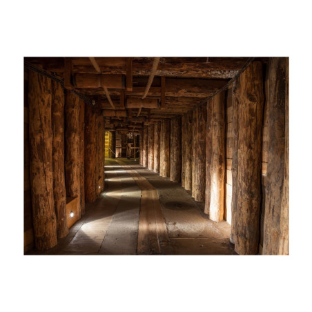 Fototapet Wooden Passage-01