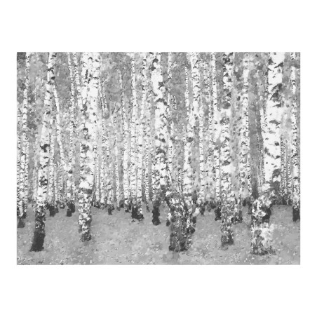 Fototapet Birch Seclusion-01