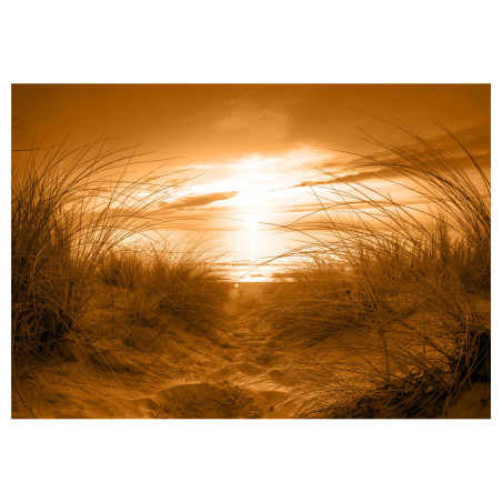 Fototapet Beach (Sepia)-01