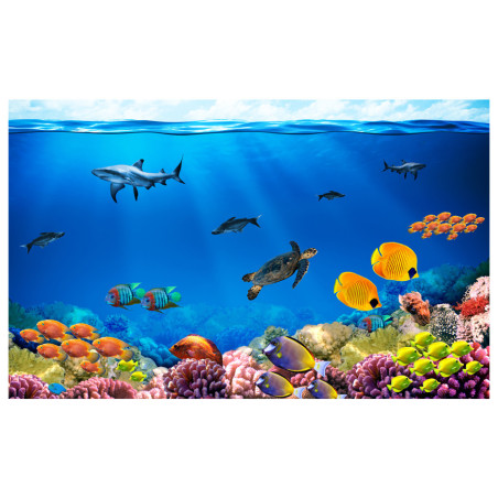 Fototapet Underwater kingdom-01