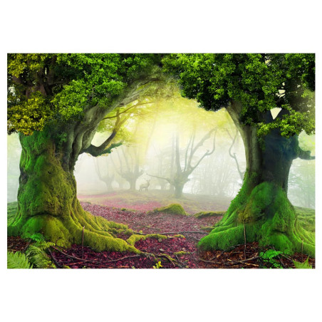 Fototapet Enchanted Forest-01