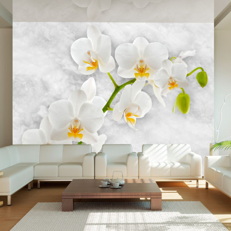 Fototapet Lyrical Orchid White-01