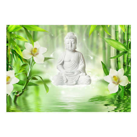 Fototapet Buddha And Nature-01