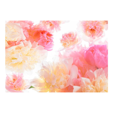 Fototapet Pastel Peonies-01