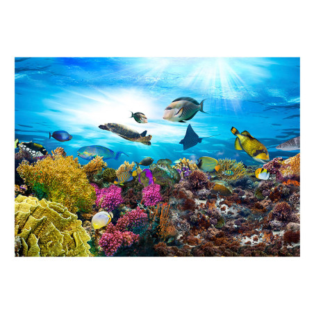 Fototapet Coral Reef-01