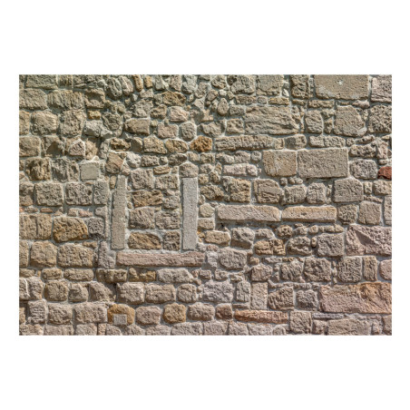 Fototapet Wall From Stones-01