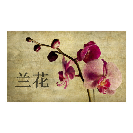 Fototapet Japanese Orchid-01